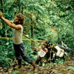 122_1012_02_o-helge_pedersen_darien_jungle-