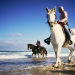 BFSA-Jeffreys-Bay-Beach-Horse-Rides