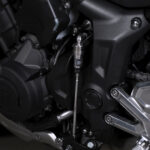 Trident—Accessory-Triumph-Shift-Assist-Rear