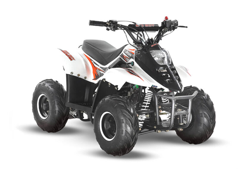 Big boy quad store bikes for sale