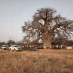 A truly African backdrop awaits you on this Moonlight Tour (s)