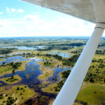 The,View,From,An,Aircraft,Flying,Over,The,Okavango,Delta