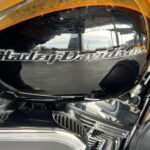 2015 HARLEY DAVIDSON CVO ULTRA LIMITED TWO TONE GOLD RUSH CARBON DUST 12