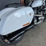 2022 SPORT GLIDE WHITE SAND PEARL 9