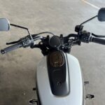 2022 SPORTSTER S WHITE SAND PEARL 10