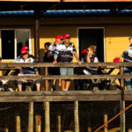 Participants enjoying trackside activities during the Sons of Thunder Mustang Tour, image by Saydi Barbosa of MS Promoters